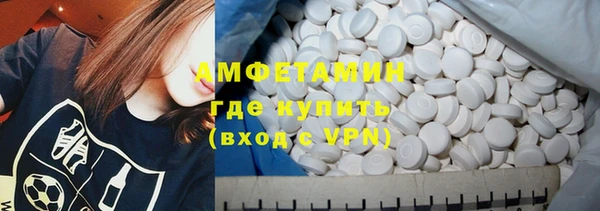 индика Богданович