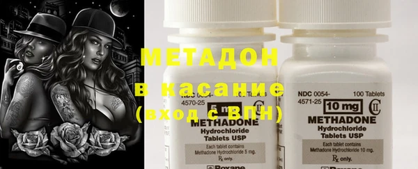 индика Богданович