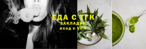индика Богданович
