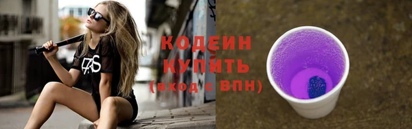 индика Богданович