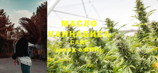 индика Богданович