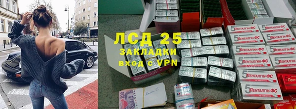 индика Богданович