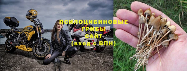 индика Богданович
