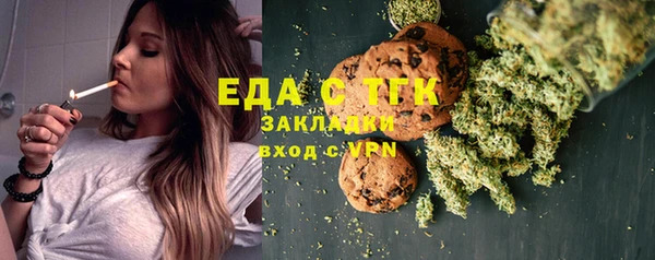 индика Богданович