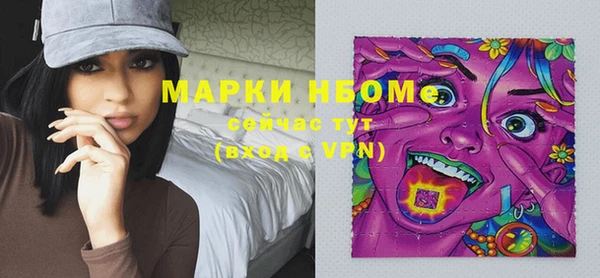 индика Богданович