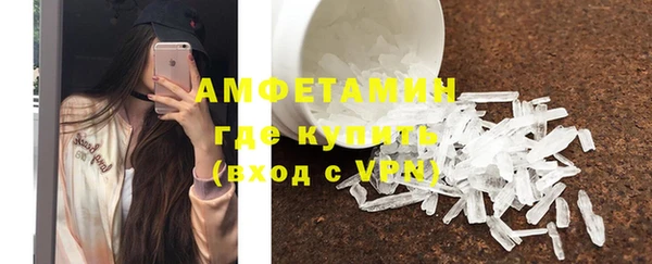 индика Богданович