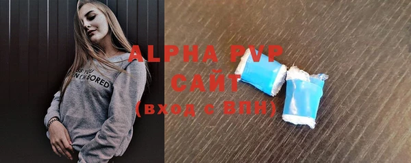 индика Богданович