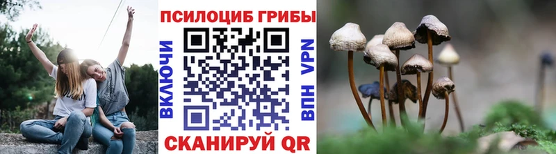 Псилоцибиновые грибы GOLDEN TEACHER  Купить закладки  Покровск 